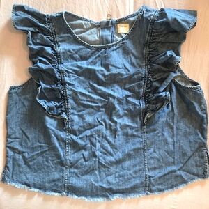 GAP 1969 Blue Denim Ruffle Blouse XL
